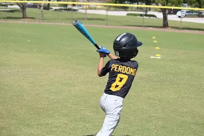 The Farm System-Baseball Training photo 3