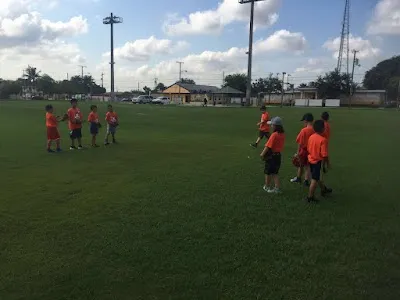 THE MIAMI TIGERS