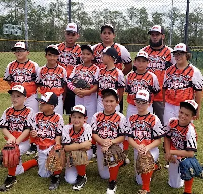 THE MIAMI TIGERS photo 4