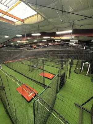 The Natural Ballplayer