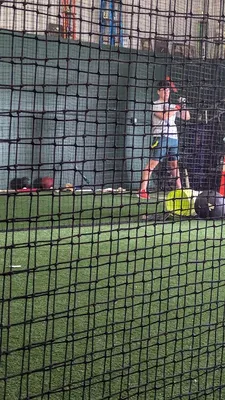 The Wood Bat