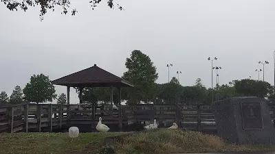 Tilden Rodgers Sports Complex photo 5
