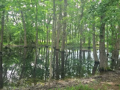 Tom Sawyer Park softball fields