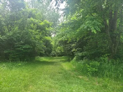 Tom Sawyer Park softball fields photo 3