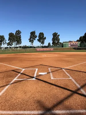 Toro Diamond photo 3