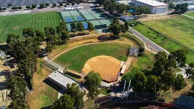 Toro Diamond photo 5