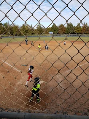 Travis Williams Softball Complex photo 4