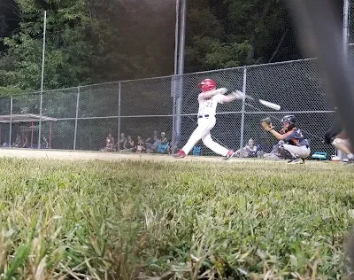 True Temper Baseball photo 2