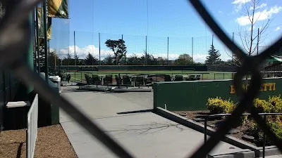 Ulrich Field & Benedetti Diamond photo 2