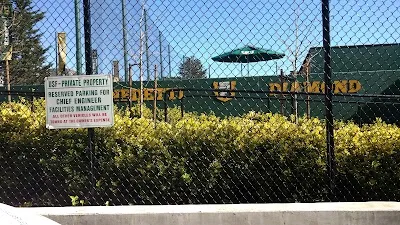 Ulrich Field & Benedetti Diamond photo 4