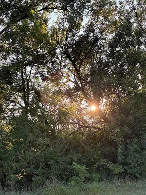 Westchester Park photo 5