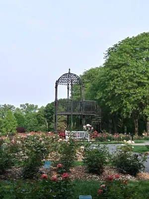 Whetstone Community Recreation photo 3