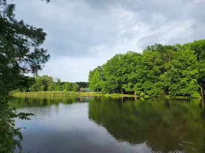Willowbrook Park Softball Fields photo 2