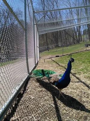 Wilson Park photo 3