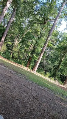 Worthdale Park softball field photo 4