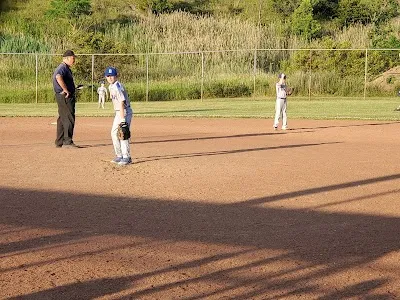York Road Recreation Field